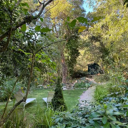 Casa Burra Colares